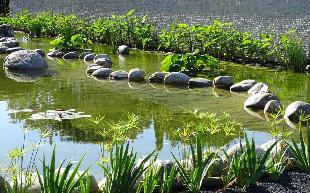 Maison Du Lac Les Angles  Ngoại thất bức ảnh